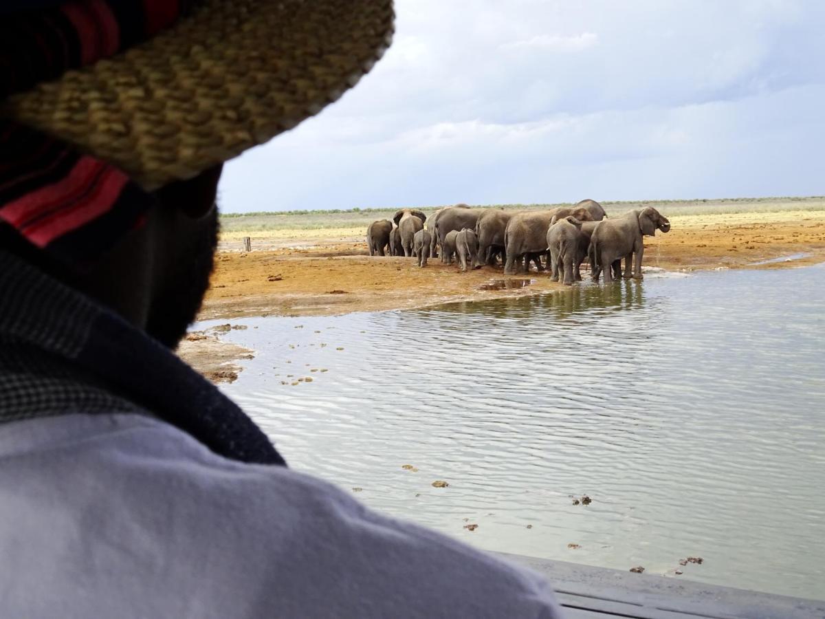 Etosha King Nehale Villa Omuthiya Екстериор снимка