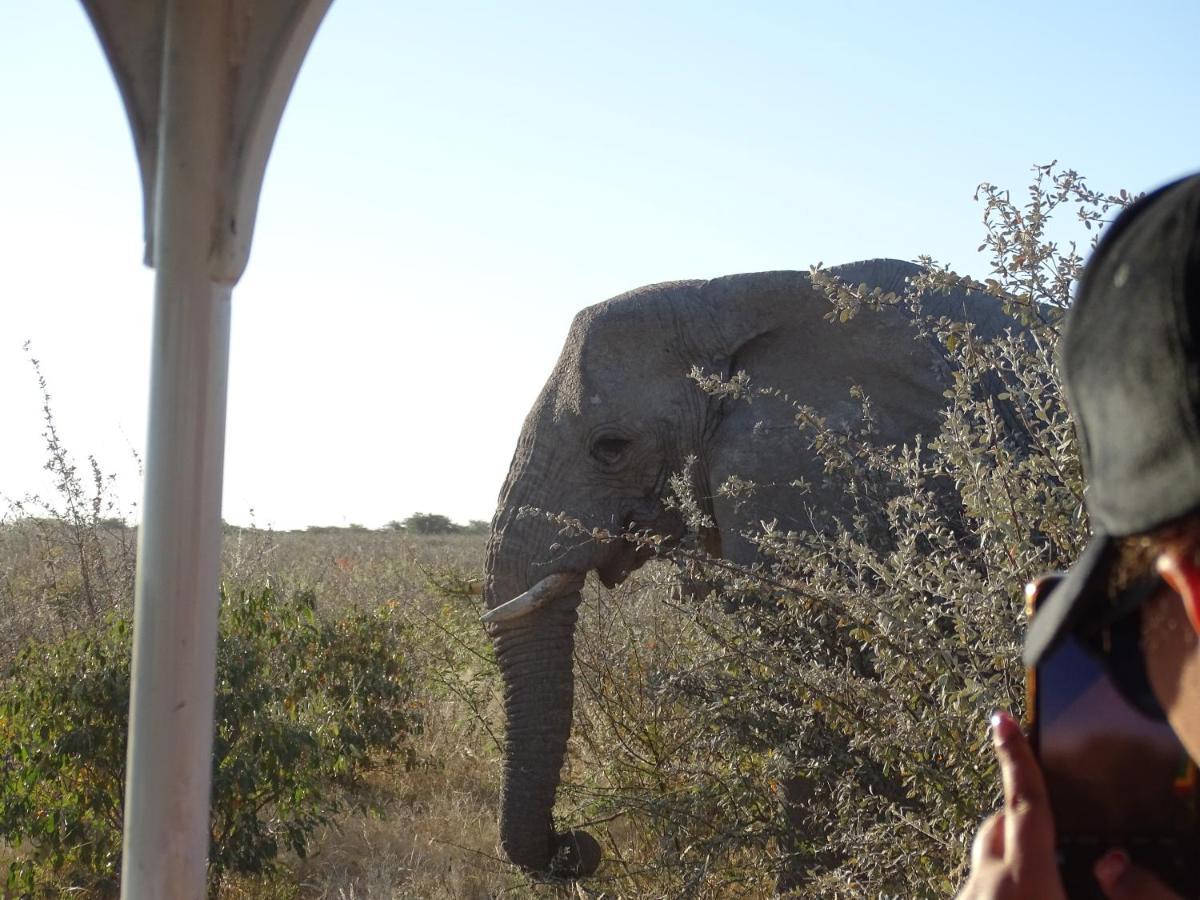 Etosha King Nehale Villa Omuthiya Екстериор снимка